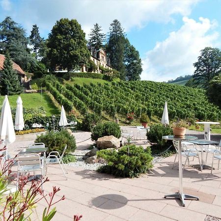 Wein Lodge Durbach - Josephsberg Екстериор снимка